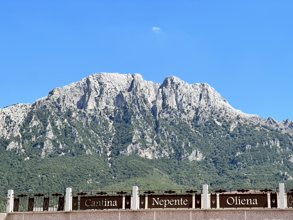 Monte Corrasi sopra la Cantina Nepente di Oliena