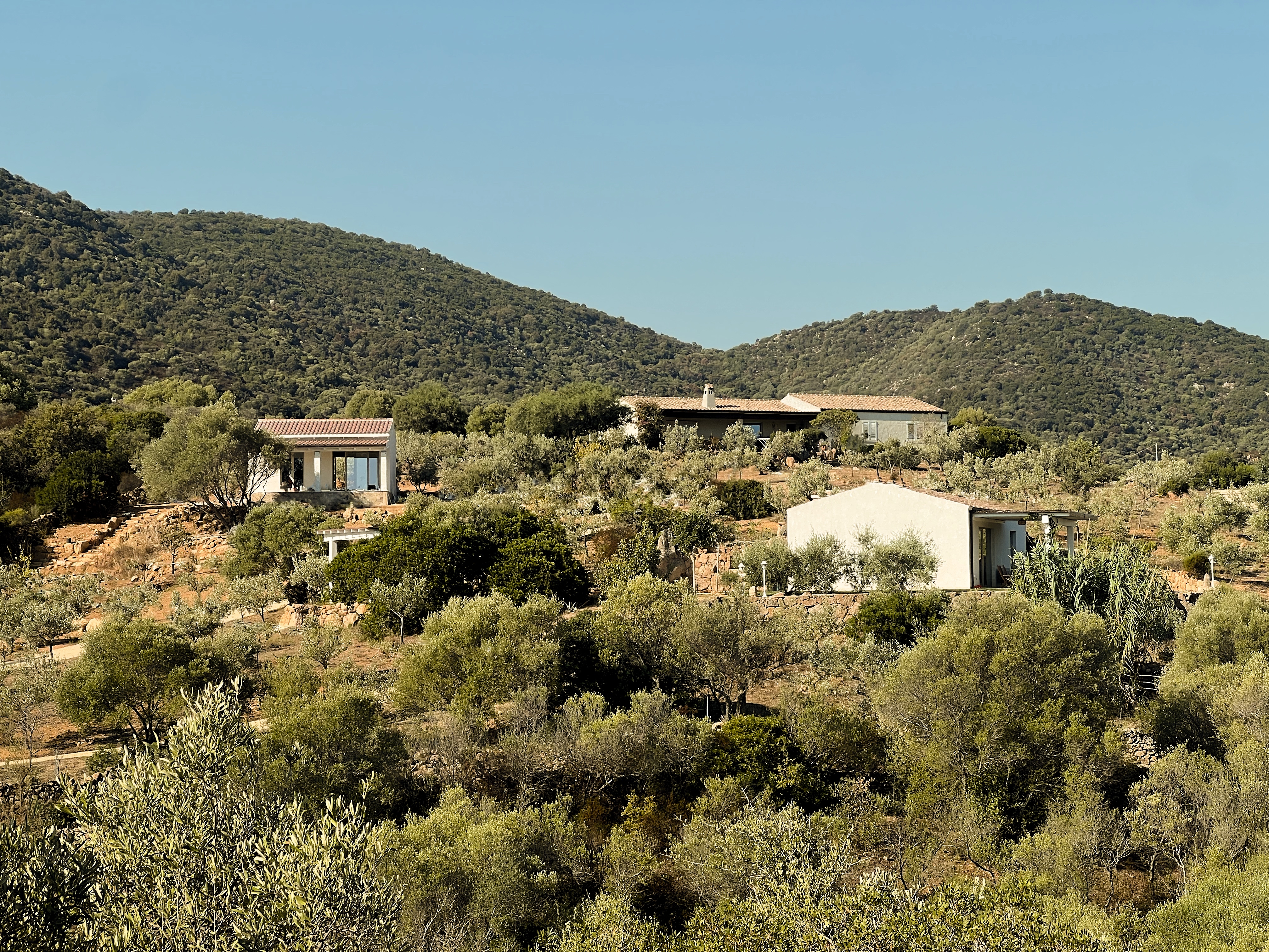 Vista sulla baia dal terreno di Su Bisu tra Olbia e San Teodoro, Sardegna
